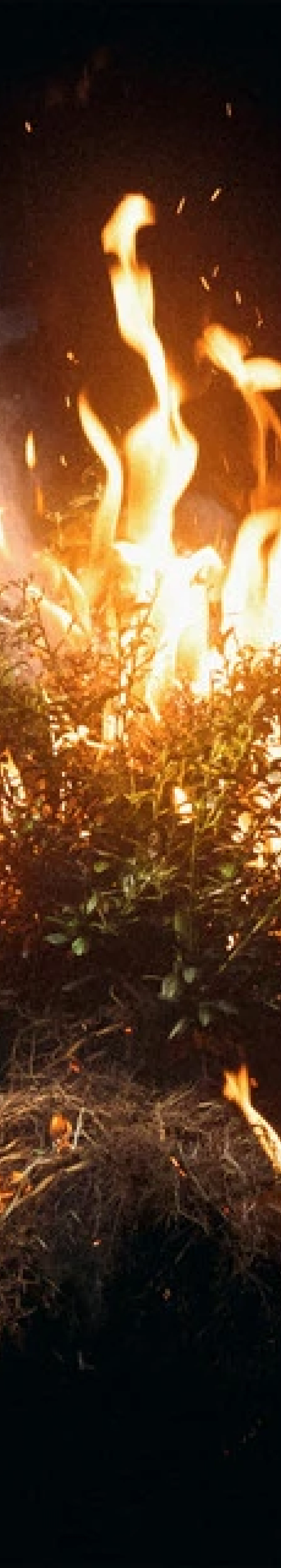 Praise (feat. Brandon Lake, Chris Brown & Chandler Moore) by Elevation Worship, Brandon Lake, Chris Brown, Chandler Moore.